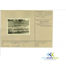 Kribben 1951 F0000031